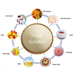 Edible Gelatin for Food and Beverage CAS Number 9000-7-8