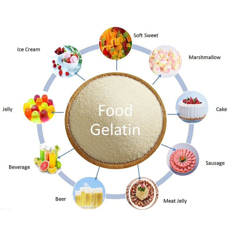 Edible Gelatin for Food and Beverage CAS Number 9000-7-8